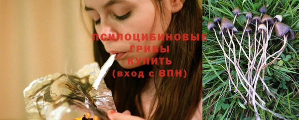 а пвп мука Елизово